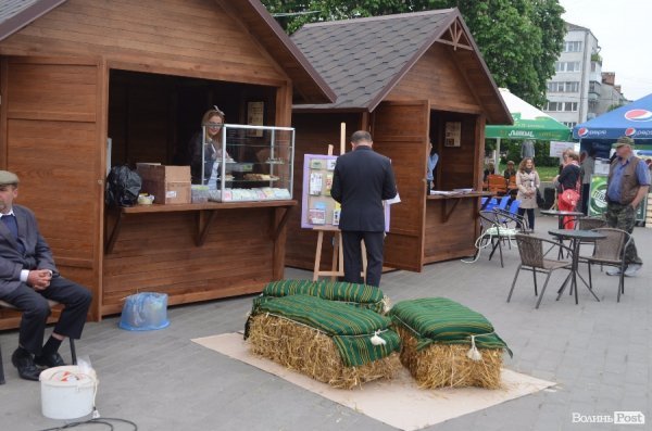 У центрі Луцька стартував фестиваль сучасного мистецтва. ФОТО