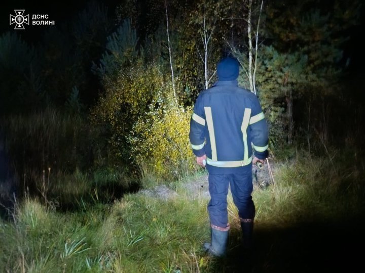 Пішла за грибами: на Волині у лісі заблукала 68-річна жінка