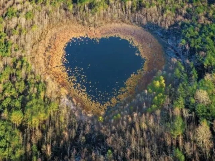 Одне з найкрасивіших Шацьких озер: де розташована мальовнича водойма у формі серця