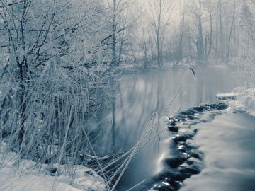 Погода в Луцьку та Волинській області на вівторок, 7 лютого