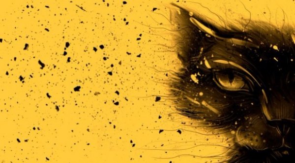 Заставкою ноутбуків стане малюнок українки. ФОТО