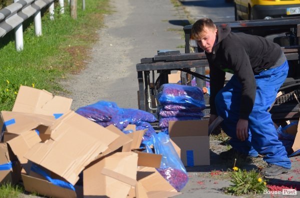 У Луцьку на дорогу злетіли навантажувач і три десятки коробок малини. ФОТО