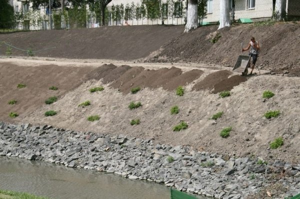 «Історія нас розсудить», – мер Луцька критикам очистки Сапалаївки