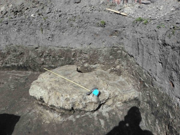 На Волині знайшли залишки поселення ХІІІ століття