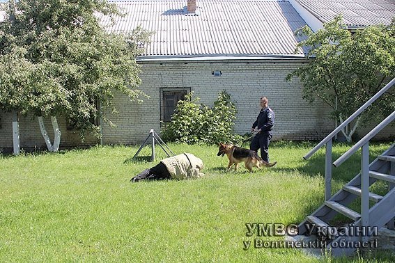 Дітлахи завітали на гостину  до чотирилапих помічників міліціонерів. ФОТО. ВІДЕО