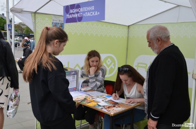 Фестиваль «Мокрі носики» біля луцького «Променя»: як безпритульним пухнастикам шукали дім. ФОТО