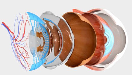 Методи діагностики та лікування захворювання сітківки ока*