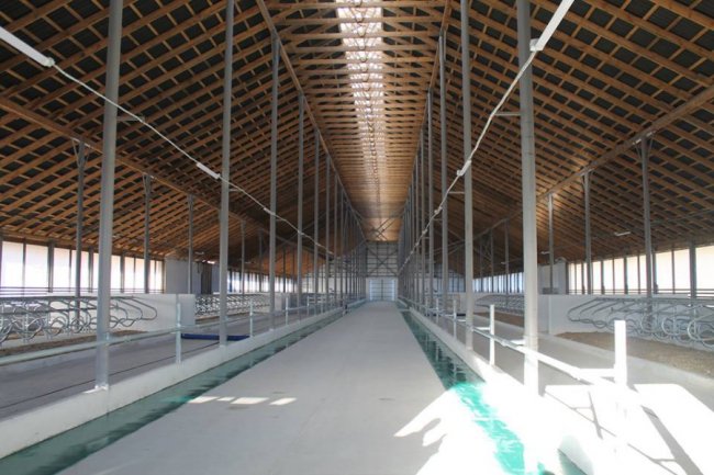 На Волині відкрили сучасний молочний комплекс. ФОТО