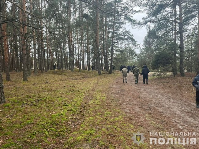 У пошуках зниклої дівчини на Волині прочесали вже 15 км лісу