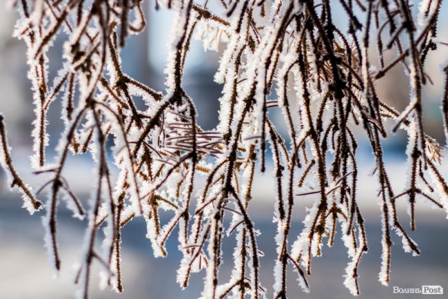 Луцьк – у кришталевій паморозі: казкові світлини різдвяного ранку. ФОТО