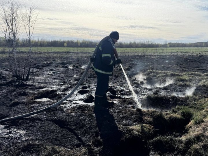  Вогонь охопив 5 гектарів: на Волині вже добу гасять пожежу торфу