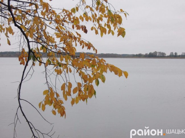 Безлюддя і човни з водою: волинське озеро восени. ФОТО