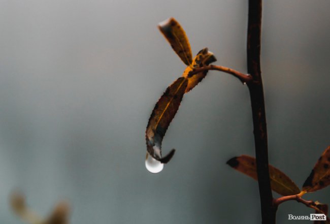 Туманний Луцьк: неймовірні фото 
