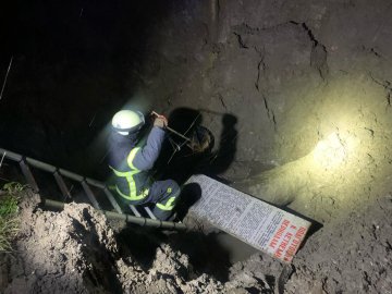 У Луцьку рятувальники витягнули собаку, яка впала у котлован