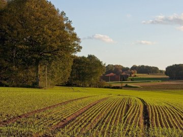 Волинський підприємець постане перед судом за незаконно зайняту земельну ділянку