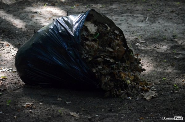 Лучани винесли 150 мішків сміття з скверу Героїв Майдану. ФОТО 