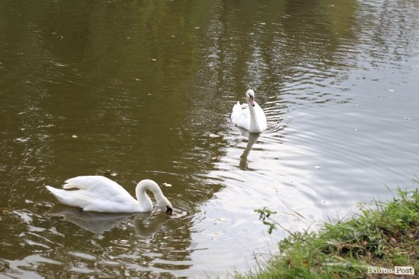 У Луцьку відкрили оновлений зоопарк. ФОТО 