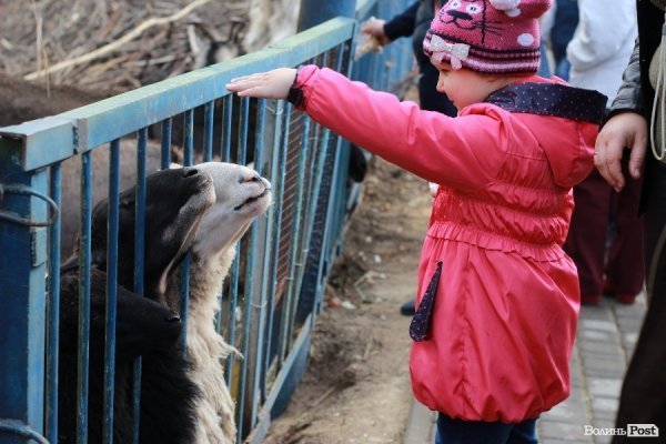 У Луцьку відкрили оновлений зоопарк. ФОТО 