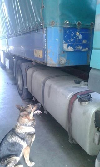 На «Ягодині» спіймали контрабандистів, які приховали товар під дном вантажівки .ФОТО