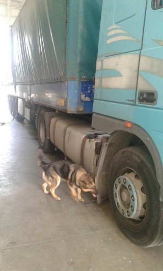 На «Ягодині» спіймали контрабандистів, які приховали товар під дном вантажівки .ФОТО