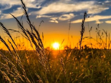 Погода в Луцьку та Волинській області на суботу, 14 серпня