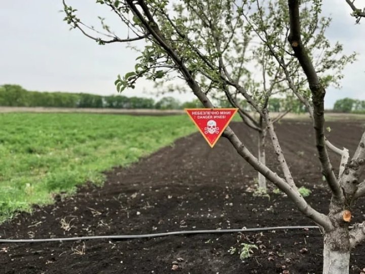 Майже чверть території України замінована, - Rzeczpospolita