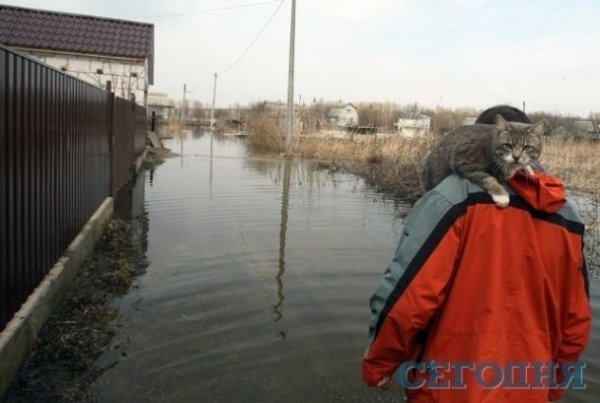 Під Києвом ‒ велика вода. ФОТО