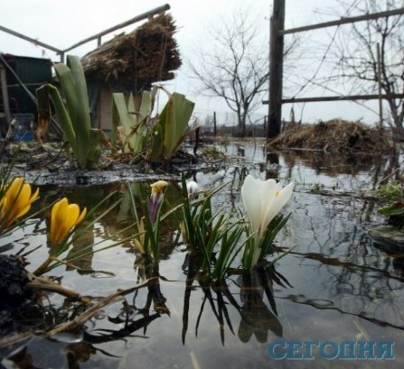 Під Києвом ‒ велика вода. ФОТО
