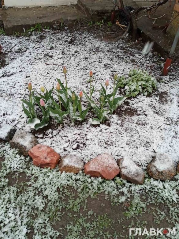 Главком Снігопад в Яготинському районі 