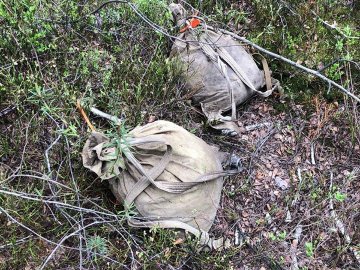 Пробирався через болота: луцькі прикордонники затримали чоловіка з бурштином