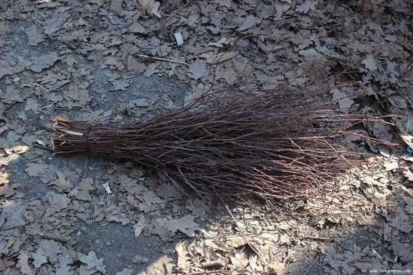  Як у Луцьку прибирали ДПЗ. ФОТО