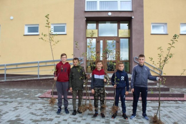 На Любомльщині учні озеленили шкільні двори. ФОТО
