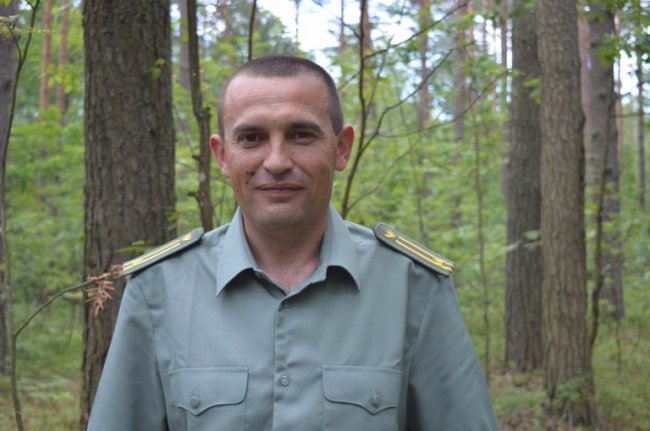 Рекордного збору чорниці на Волині не чекають