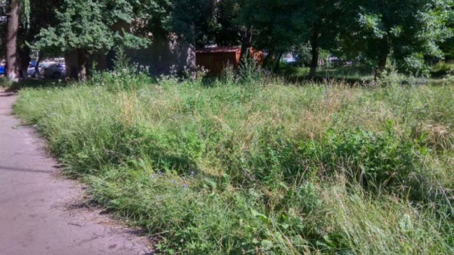 У Луцьку майдачник для воркауту обріс травою, люди просять негайно покосити 