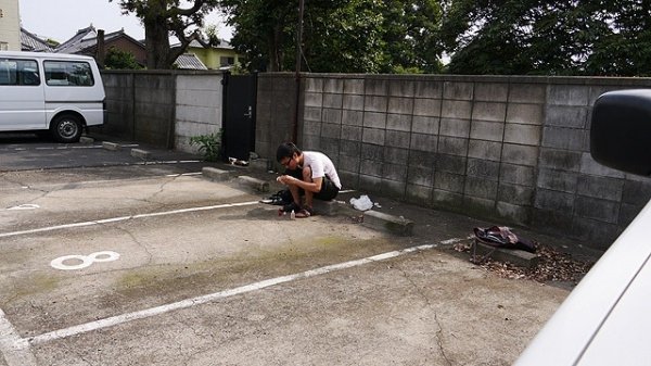 Якнайбільше косметики світлих відтінків