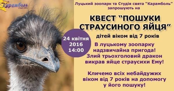 У Луцькому зоопарку загубилось страусине яйце 