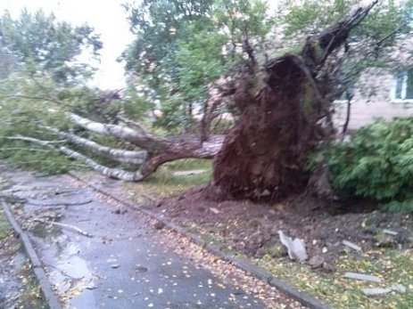 Над Рівненщиною пронісся потужний смерч. ФОТО. ВІДЕО