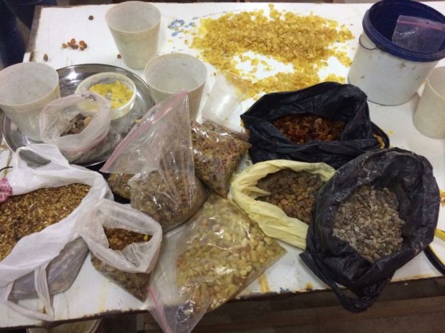 Вилучили 60 кілограмів: волинянин займався контрабандою бурштину. ФОТО