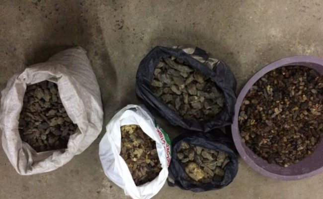 Вилучили 60 кілограмів: волинянин займався контрабандою бурштину. ФОТО