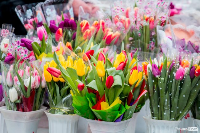 За день до свята: Луцьк накрила тюльпанова лихоманка. ФОТО