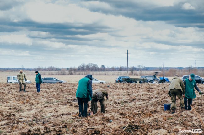 Інноваційні ідеї від молоді і гектари нових дерев: як на Волині відзначили Міжнародний день лісів