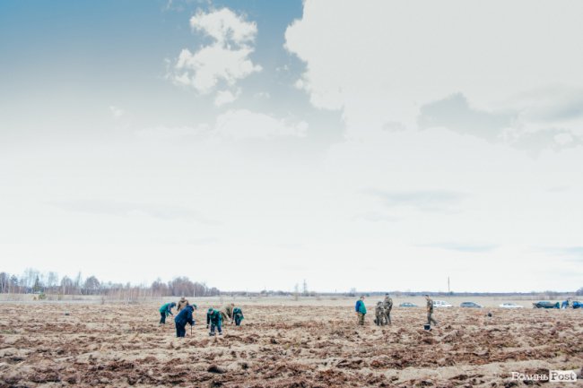 Інноваційні ідеї від молоді і гектари нових дерев: як на Волині відзначили Міжнародний день лісів