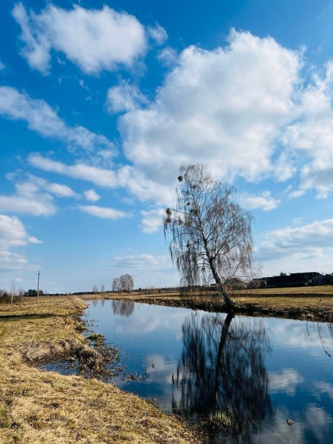 У річках волинського нацпарку зафіксували низький рівень води. ФОТО