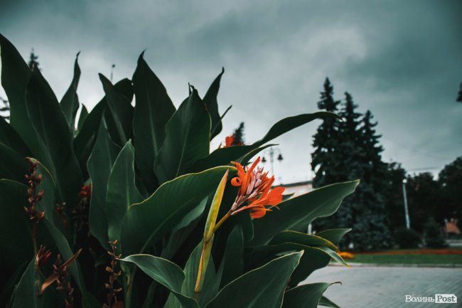 Похмура осінь у Луцьку. ФОТО