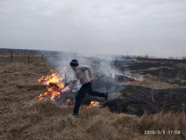 На Ківерцівщині люди спалили молодий ліс. ФОТО