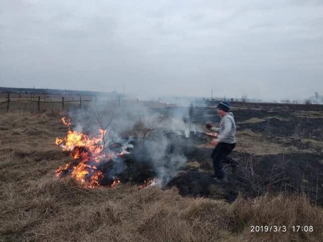 На Ківерцівщині люди спалили молодий ліс. ФОТО