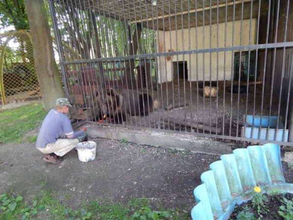 У Луцькому зоопарку назвали улюблених тварин відвідувачів