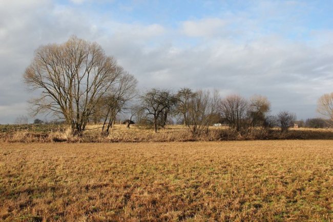 Осінньо-зимові пейзажі на світлинах волинського фотографа