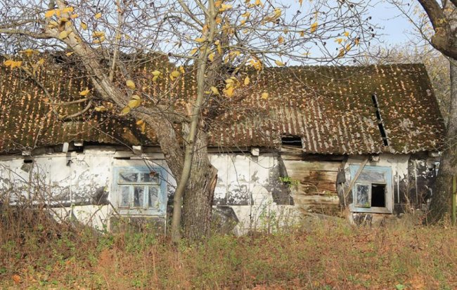 Осінньо-зимові пейзажі на світлинах волинського фотографа