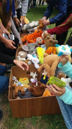 У Луцьку біля РАЦСу влаштували свято для дітей. ФОТО